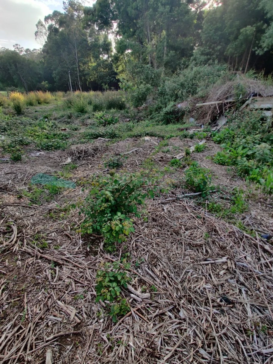 Terreno para Venda em Grijó e Sermonde Foto 7
