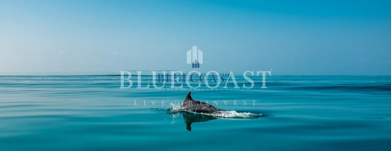 Terreno para Venda em Setubal (São Sebastião) Foto 12