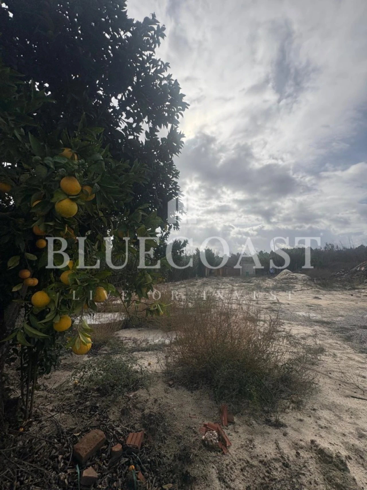 Terreno para Venda em Poceirão e Marateca Foto 25