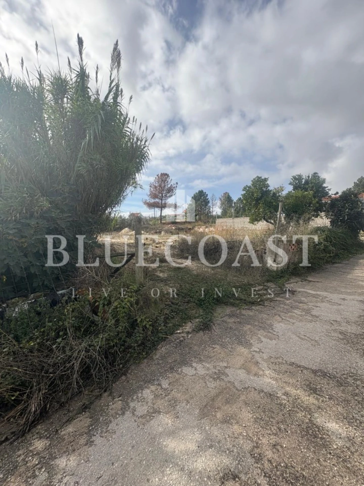 Terreno para Venda em Poceirão e Marateca Foto 34