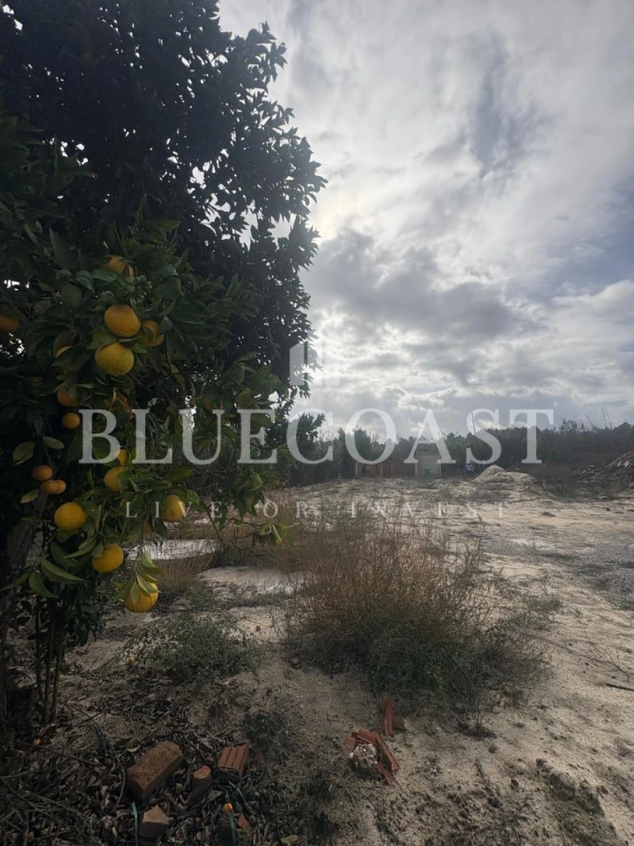 Terreno para Venda em Poceirão e Marateca Foto 25