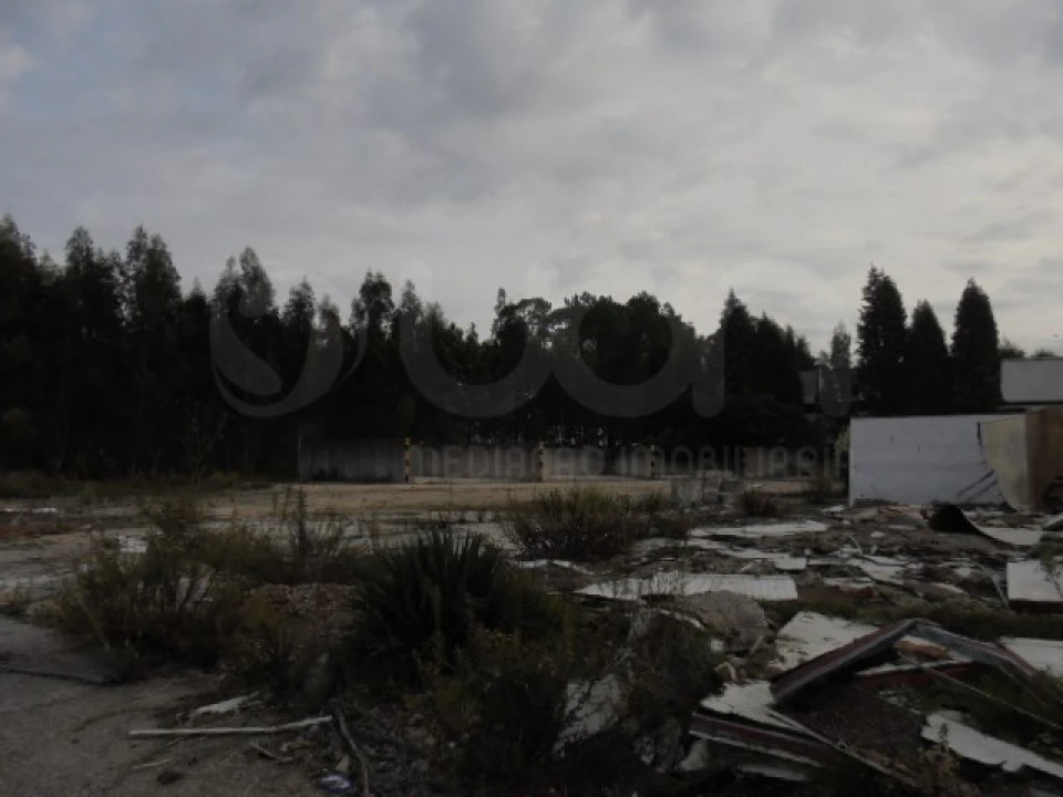 Terreno para Venda em Travassô e Óis da Ribeira Foto 2