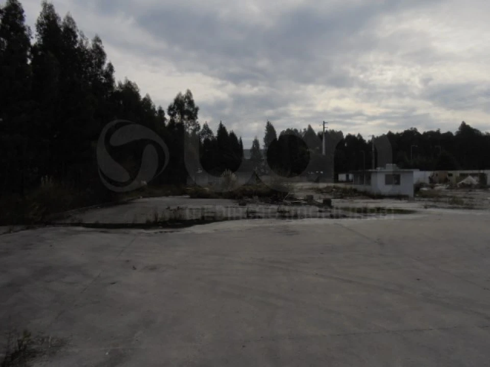 Terreno para Venda em Travassô e Óis da Ribeira Foto 3