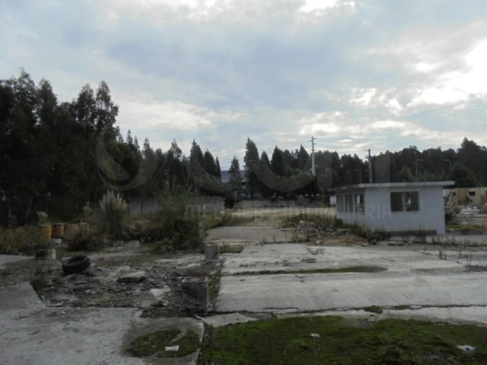 Terreno para Venda em Travassô e Óis da Ribeira Foto 4