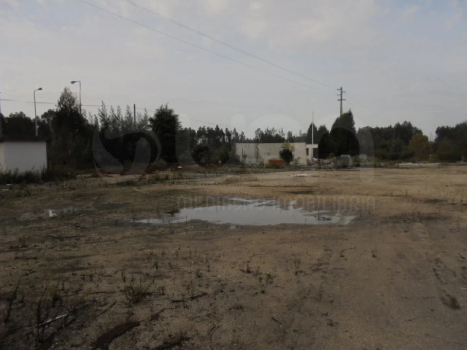 Terreno para Venda em Travassô e Óis da Ribeira Foto 5