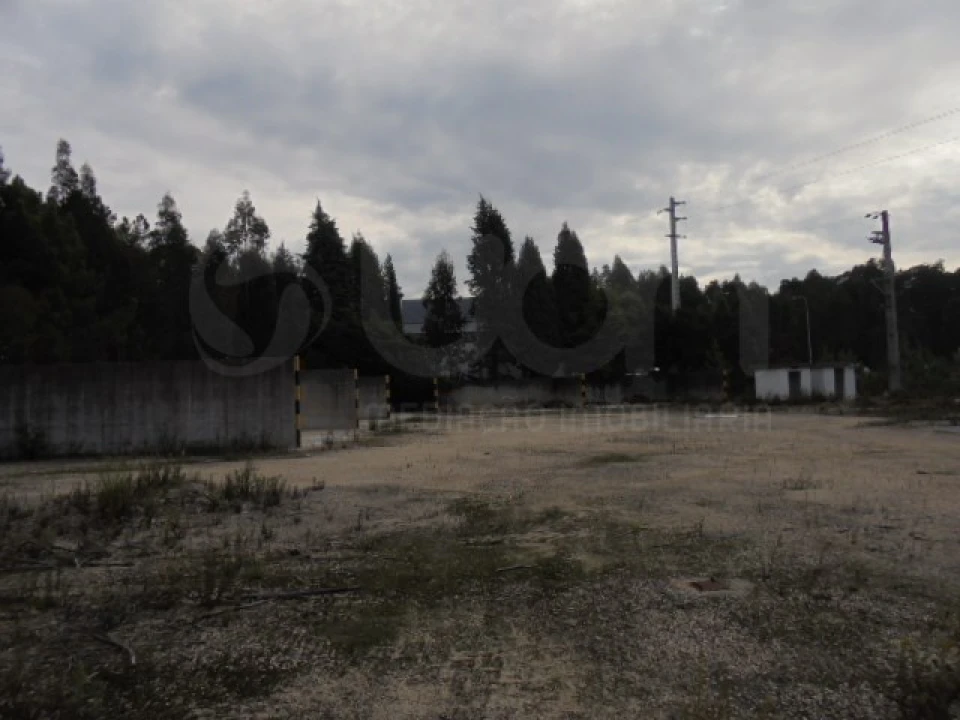 Terreno para Venda em Travassô e Óis da Ribeira Foto 6