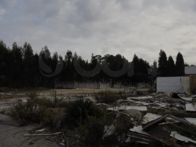 Terreno para Venda em Travassô e Óis da Ribeira Foto 2