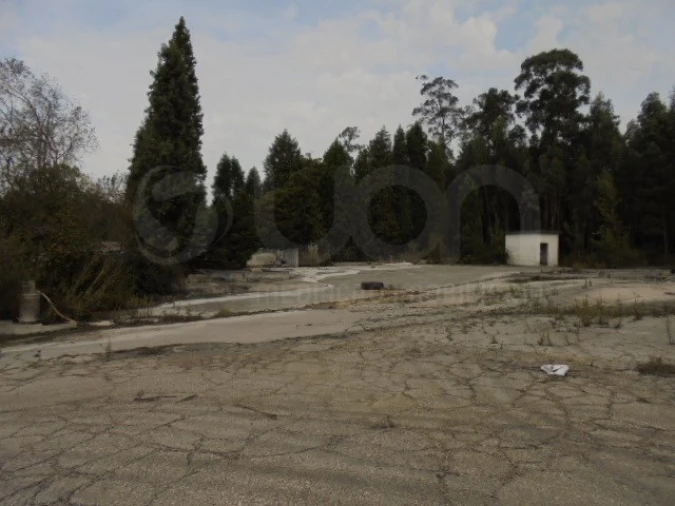Terreno para Venda em Travassô e Óis da Ribeira