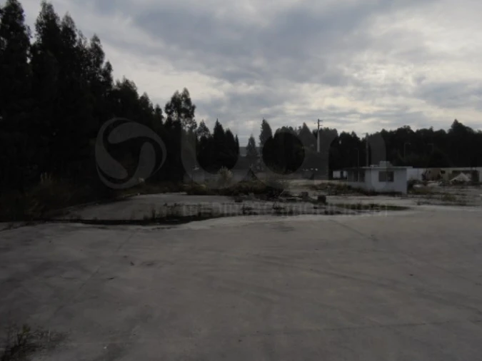 Terreno para Venda em Travassô e Óis da Ribeira Foto 3