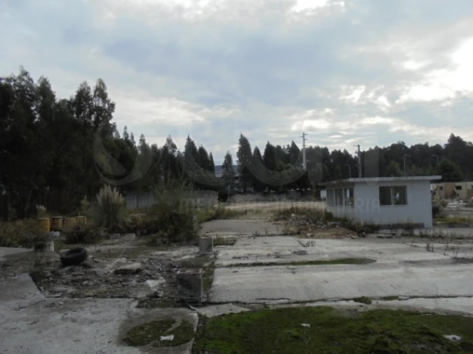 Terreno para Venda em Travassô e Óis da Ribeira Foto 4
