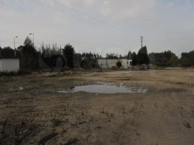 Terreno para Venda em Travassô e Óis da Ribeira Foto 5