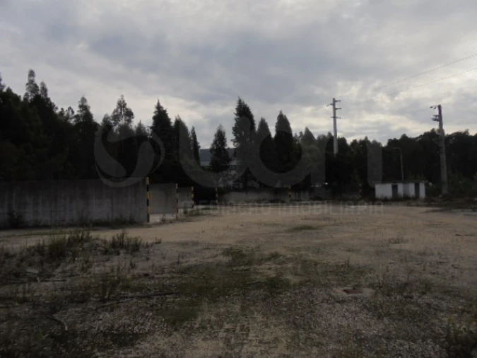 Terreno para Venda em Travassô e Óis da Ribeira Foto 6
