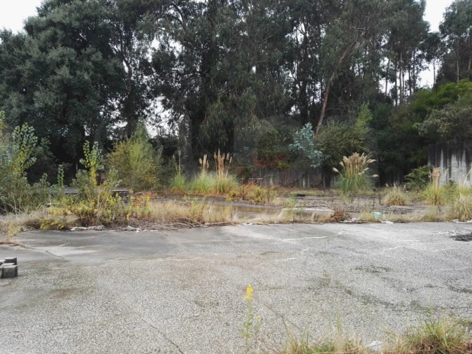 Terreno para Venda em Custóias, Leça do Balio e Guifões Foto 7