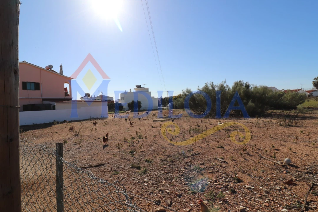 Terreno para Venda em Altura Foto 3