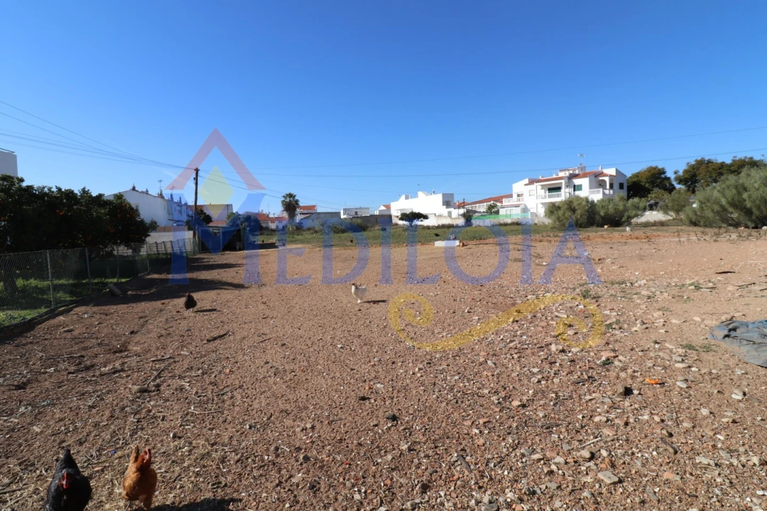 Terreno para Venda em Altura Foto 4