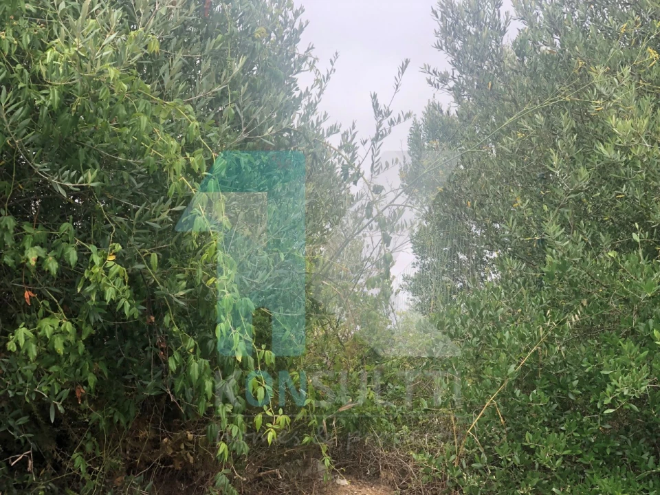 Terreno para Venda em Cascais e Estoril Foto 2