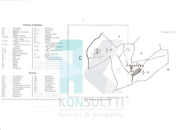 Terreno para Venda em São Martinho das Amoreiras Foto 3