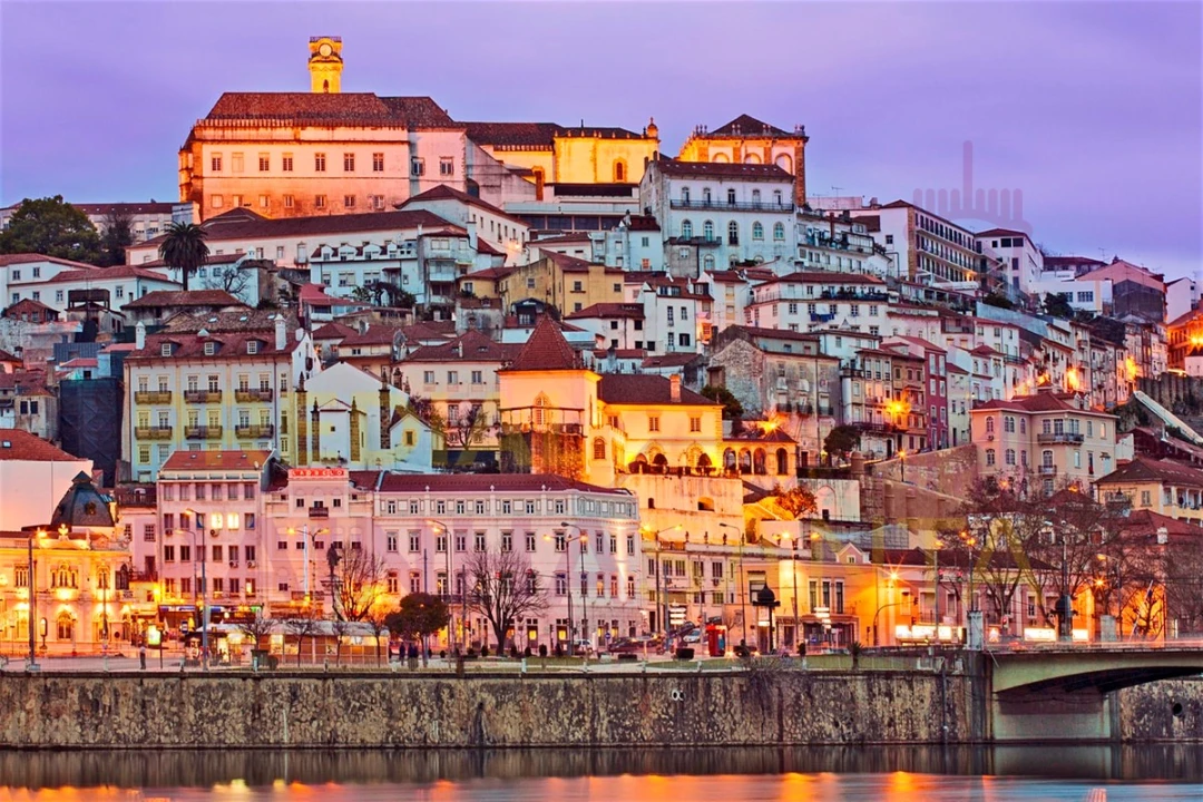 Terreno para Venda em São Martinho do Bispo e Ribeira de Frades Foto 5