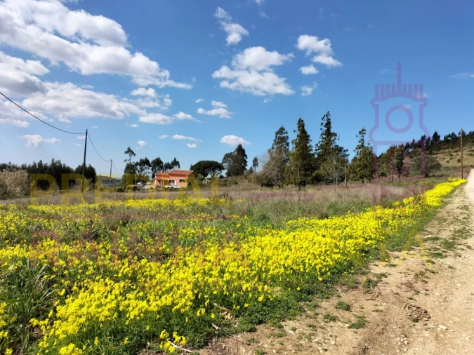 Terreno para Venda em A dos Cunhados e Maceira Foto 1