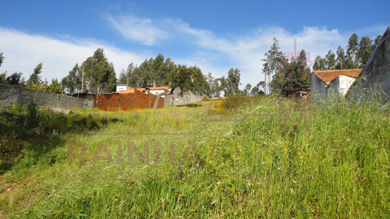 Terreno para Venda em São Martinho do Bispo e Ribeira de Frades Foto 1