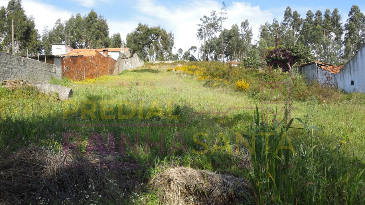 Terreno para Venda em São Martinho do Bispo e Ribeira de Frades Foto 4