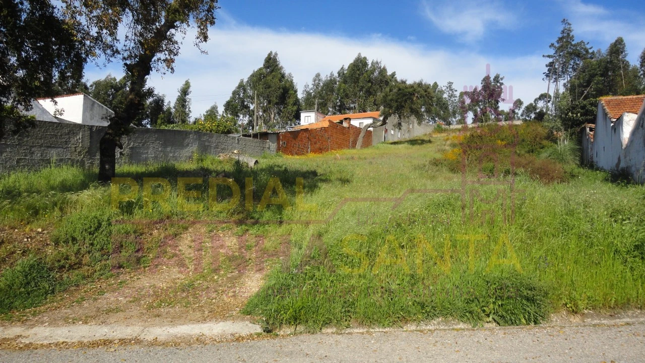 Terreno para Venda em São Martinho do Bispo e Ribeira de Frades Foto 6