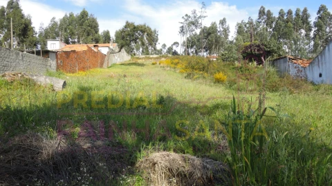Terreno para Venda em São Martinho do Bispo e Ribeira de Frades