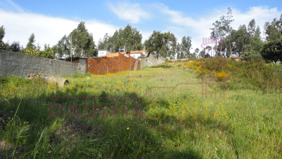 Terreno para Venda em São Martinho do Bispo e Ribeira de Frades Foto 5