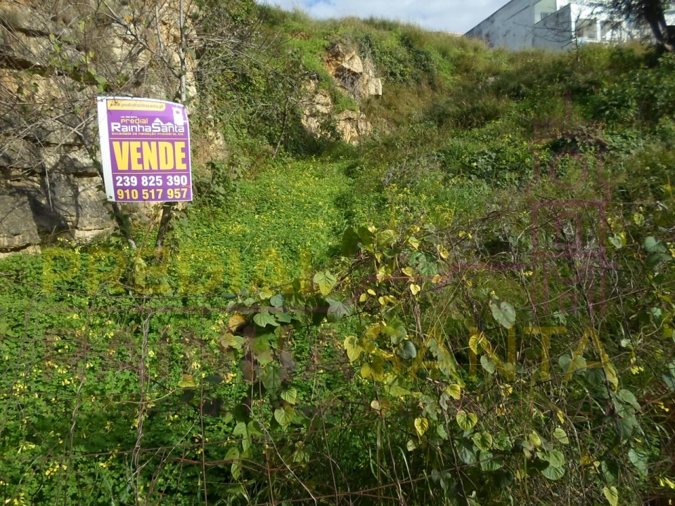 Terreno para Venda em Santa Clara e Castelo Viegas Foto 1