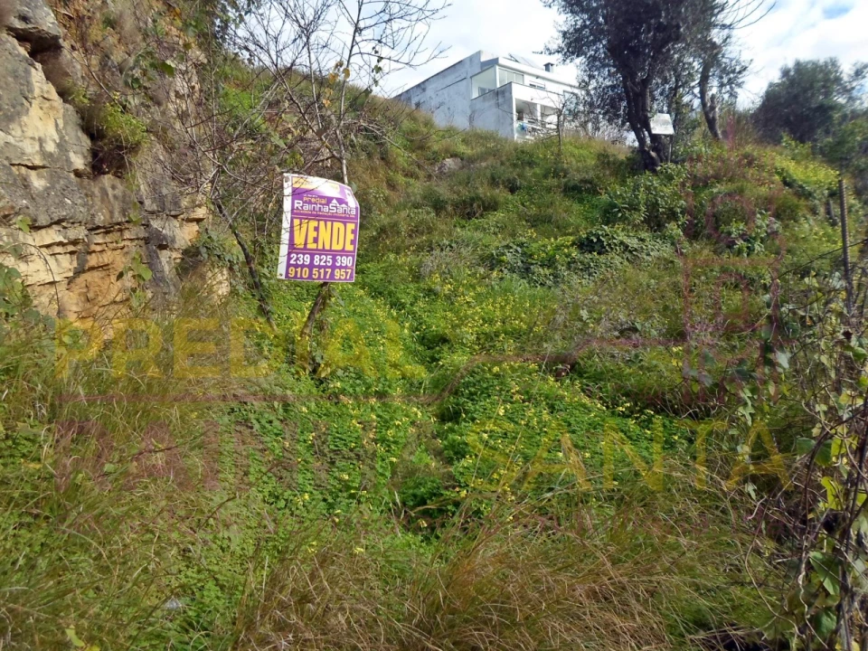 Terreno para Venda em Santa Clara e Castelo Viegas Foto 2