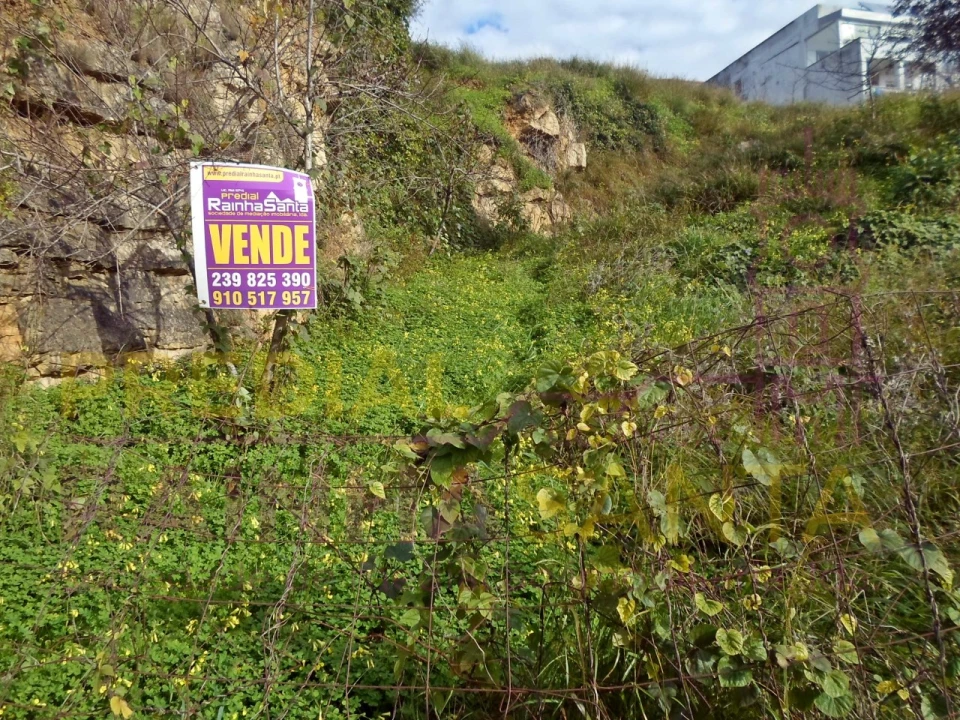 Terreno para Venda em Santa Clara e Castelo Viegas Foto 3