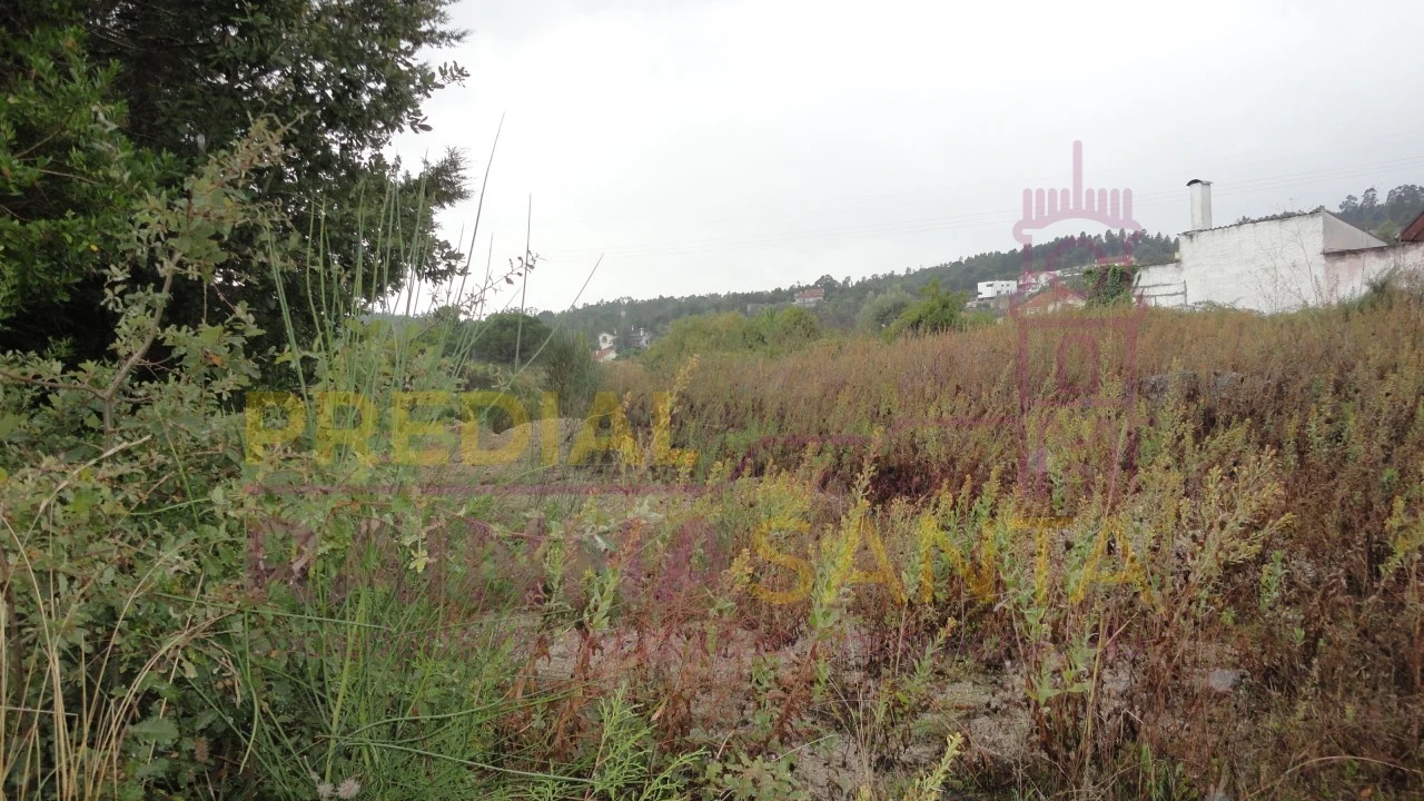 Terreno para Venda em Santa Clara e Castelo Viegas Foto 1