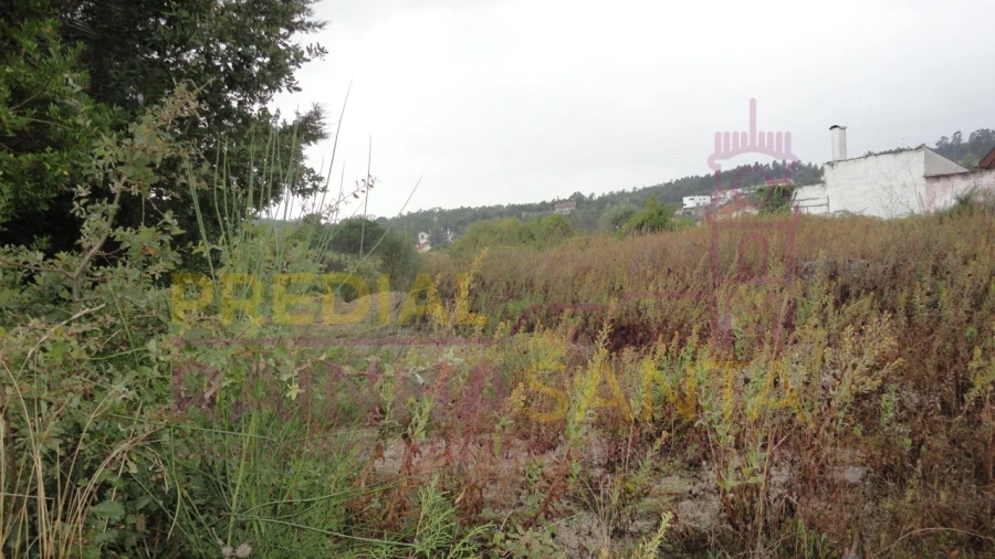 Terreno para Venda em Santa Clara e Castelo Viegas Foto 1