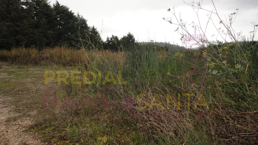 Terreno para Venda em Santa Clara e Castelo Viegas Foto 2