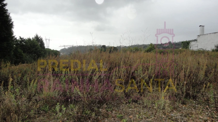 Terreno para Venda em Santa Clara e Castelo Viegas Foto 3