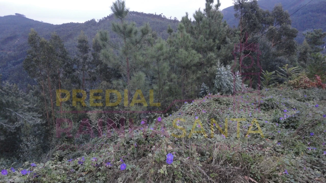 Terreno para Venda em Torres do Mondego Foto 1