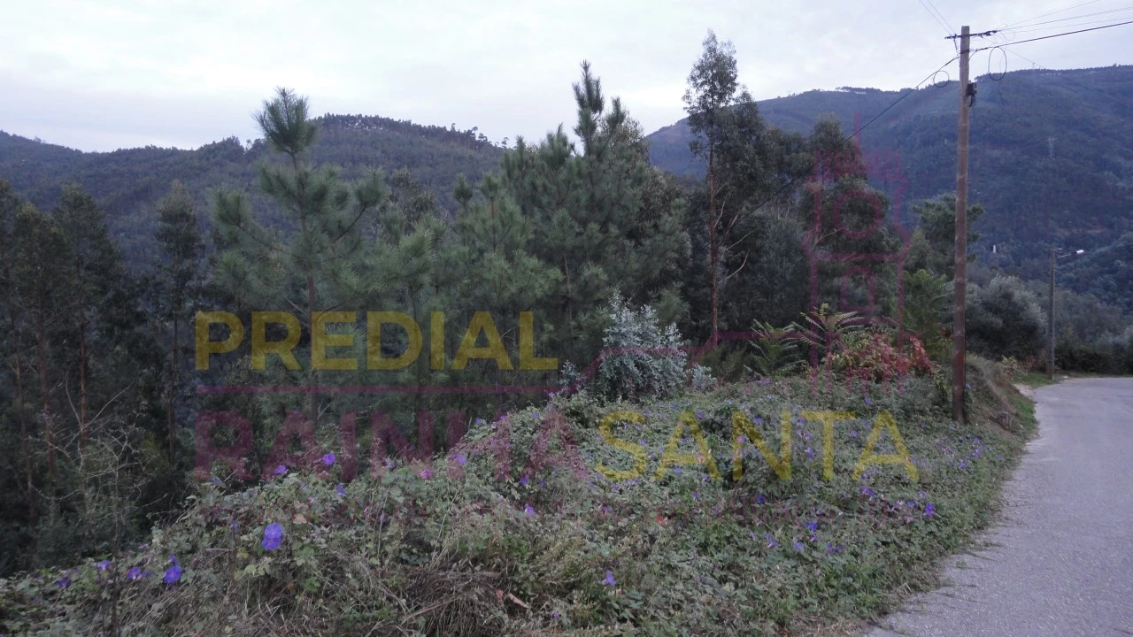 Terreno para Venda em Torres do Mondego Foto 2