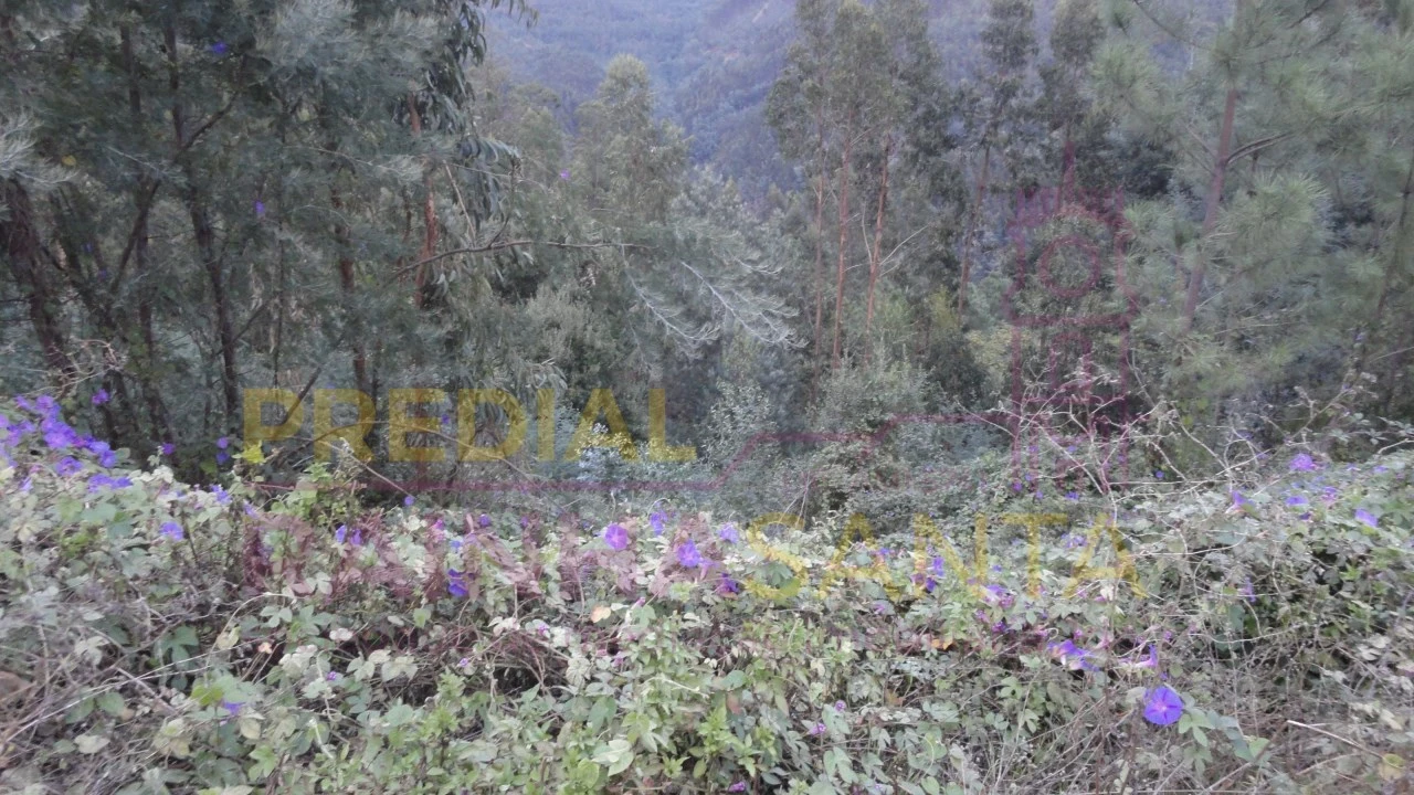 Terreno para Venda em Torres do Mondego Foto 3