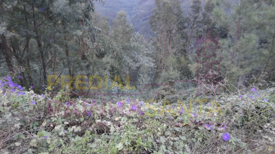 Terreno para Venda em Torres do Mondego Foto 3