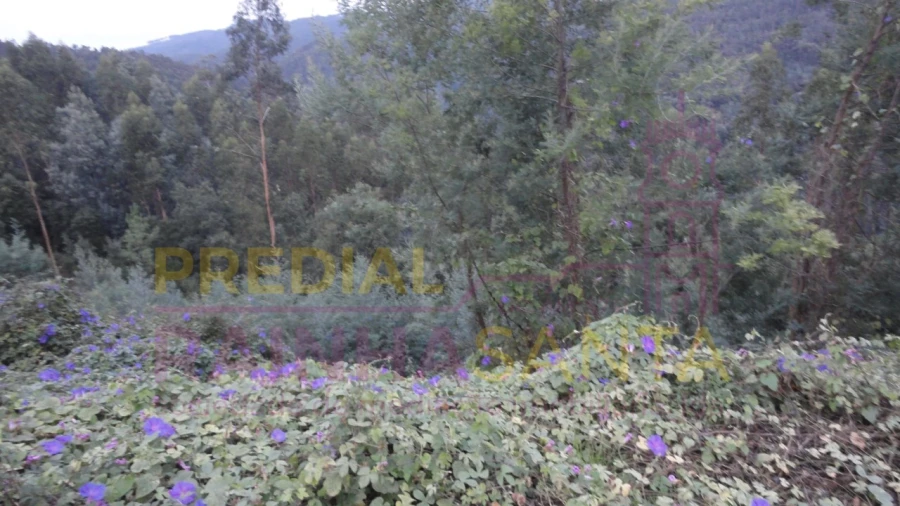 Terreno para Venda em Torres do Mondego Foto 4