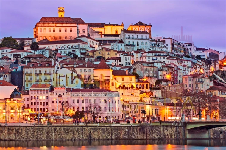 Terreno para Venda em Torres do Mondego Foto 6