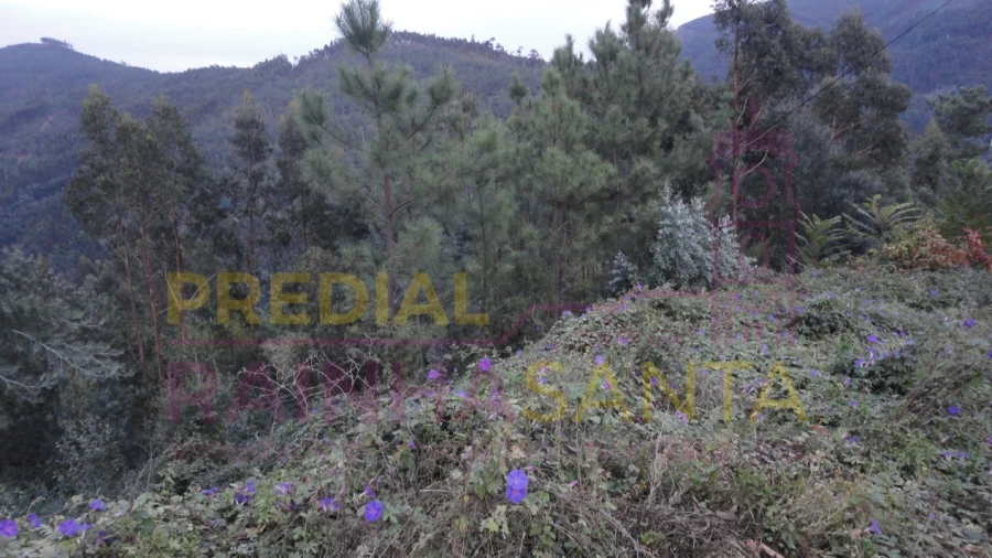 Terreno para Venda em Torres do Mondego