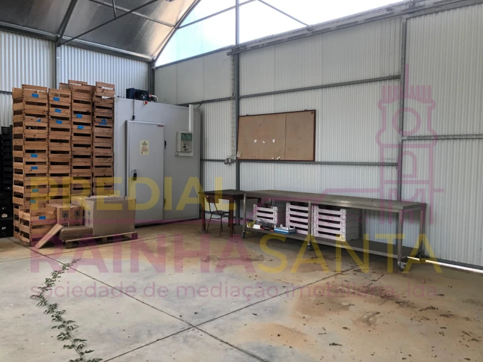 Terreno para Venda em Samuel Foto 23