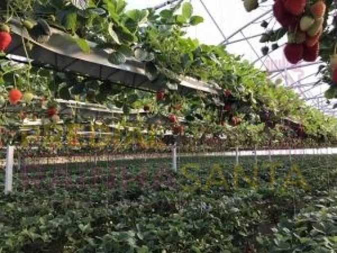 Terreno para Venda em Samuel Foto 9