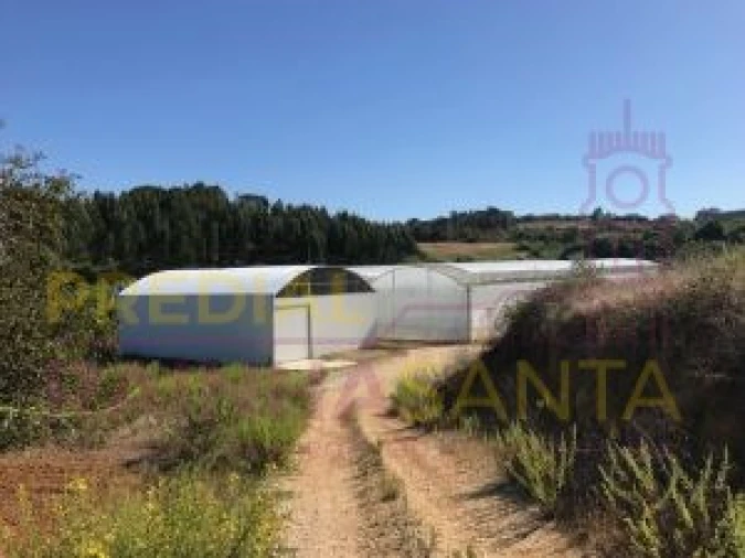 Terreno para Venda em Samuel Foto 4