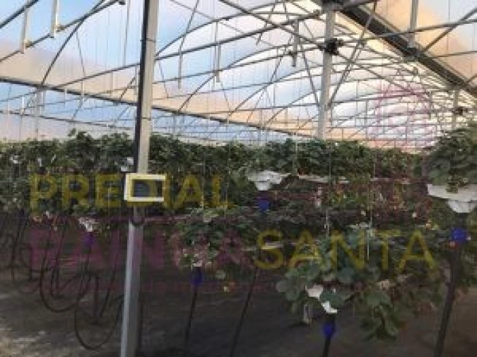 Terreno para Venda em Samuel Foto 17