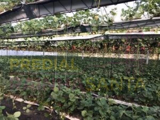 Terreno para Venda em Samuel Foto 7