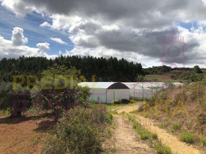 Terreno para Venda em Samuel