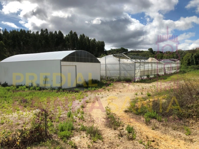 Terreno para Venda em Samuel Foto 2