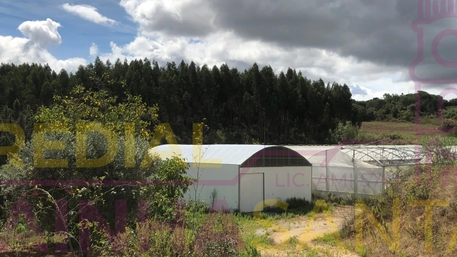 Terreno para Venda em Samuel